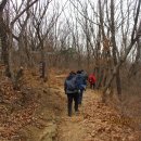 솔향기 쉼터 이미지