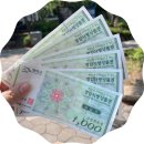 월출산온천관광호텔 야외수영장 이미지