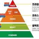 우사케 네이버블로그