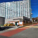 포항시남구70 이미지