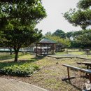 모구리야영장(일출봉영지) 이미지