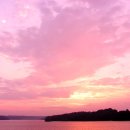 바다이야기 이미지