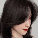 투디컬