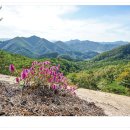 연풍레포츠공원 이미지