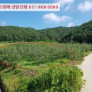 금곡3리마을회관 이미지