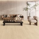 댕댕이숲 이미지