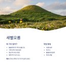 (주)제주트인