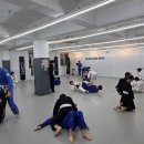 팀 조인X와이어주짓수 이미지