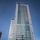 화이트애플 이미지