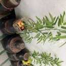 갯마을해물손칼국수 | [충남 공주] 공산성 맛집 공주 시민 해물 손칼국수 다녀온 후기