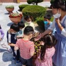 석보초교병설유치원 네이버블로그