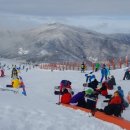 휘닉스파크 이미지