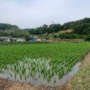 상만경로당 네이버블로그