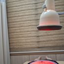26.7.16 삼선한의원 혜당 이미지