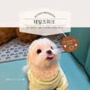 댕댕이 하우스 | 테일즈파크 댕댕이와 뛰어놀기 좋은 용인 애견운동장 재방문 후기