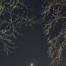 구상나무 화장실 이미지