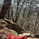 1058 | ⛰️속리산⛰️속리산등산코스, 속리산천왕봉(해발1058m), 속리산법주사 다녀온 후기