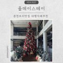 올스테이 | [춘천]춘천대형카페 트리맛집 올데이 스테이 내돈내산 후기