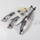 바다사랑생선구이 이미지