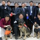 비룡축산 이미지