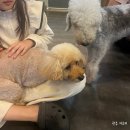 독크루북구점 이미지