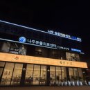 나우동물의료센터 | 천안동물병원 강아지 검강검진 나우동물의료센터