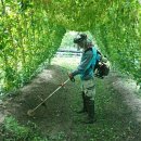 기선농장 이미지