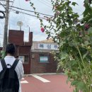 서울에서 군산 뚜벅이여행 후기, 꿀팁