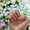반월당 네일 디몽네일뷰티 대구네일 샵추천 2026 봄 네일 디자인