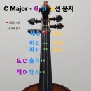 G선바이올린