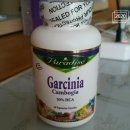 목양 약국 | 가르시니아 부작용 ✔회피기술 (아이허브 다이어트약 3탄)