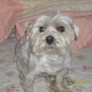 외동사거리　 이미지