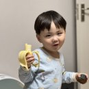 신안 북부 하나 어린이집 | 🍌 우리나라 신안 섬에서 바나나가? 아이들과 함께 맛본 '신안 무농약 바나나' 리얼 후기!