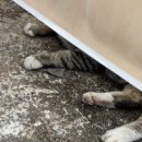 동현목장 이미지