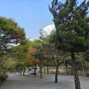 또올래캠핑장 이미지