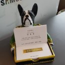 엠에스리테일 이미지