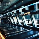 홍 휘트니스 이미지