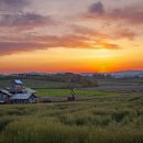 여명목장 이미지