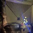 청평하다 | 크리스마스 캠핑｜청평 카페모모 노지·겨울먹방·트리감성 캠핑 후기