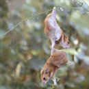 JR스크린골프존 이미지