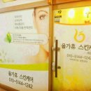 금채샵 이미지