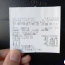 조선갈매기