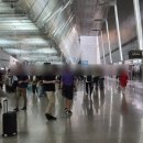 돈탄정 | MRT 타고 창이공항 가기 쥬얼 관람 (Tanjong Pagar 탄정 파가르역 > Changi Airport 창이공항) MRT EW...