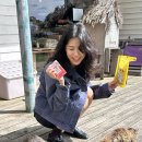 종달 홀라인 이미지