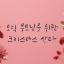 짱태권도 이미지