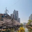 해링턴썬데이부동산공인중개사사무소 이미지