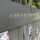 강남역 PDRN 스킨부스터 피부결 개선 + 모공케어 솔직 후기