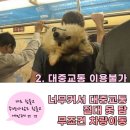 신남케어 이미지