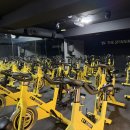 더스피닝 네이버블로그