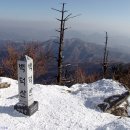 2008.01.13(일) 둘째주 일요일 정기산행-강원 영월 백덕산白德山(1,350m) 이미지